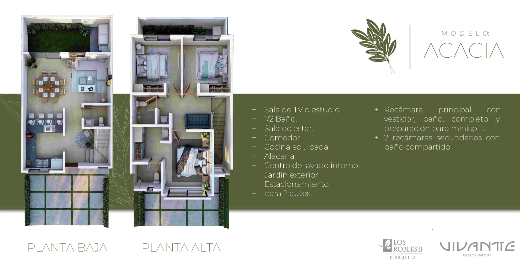 Modelo-Acacia-2.jpg