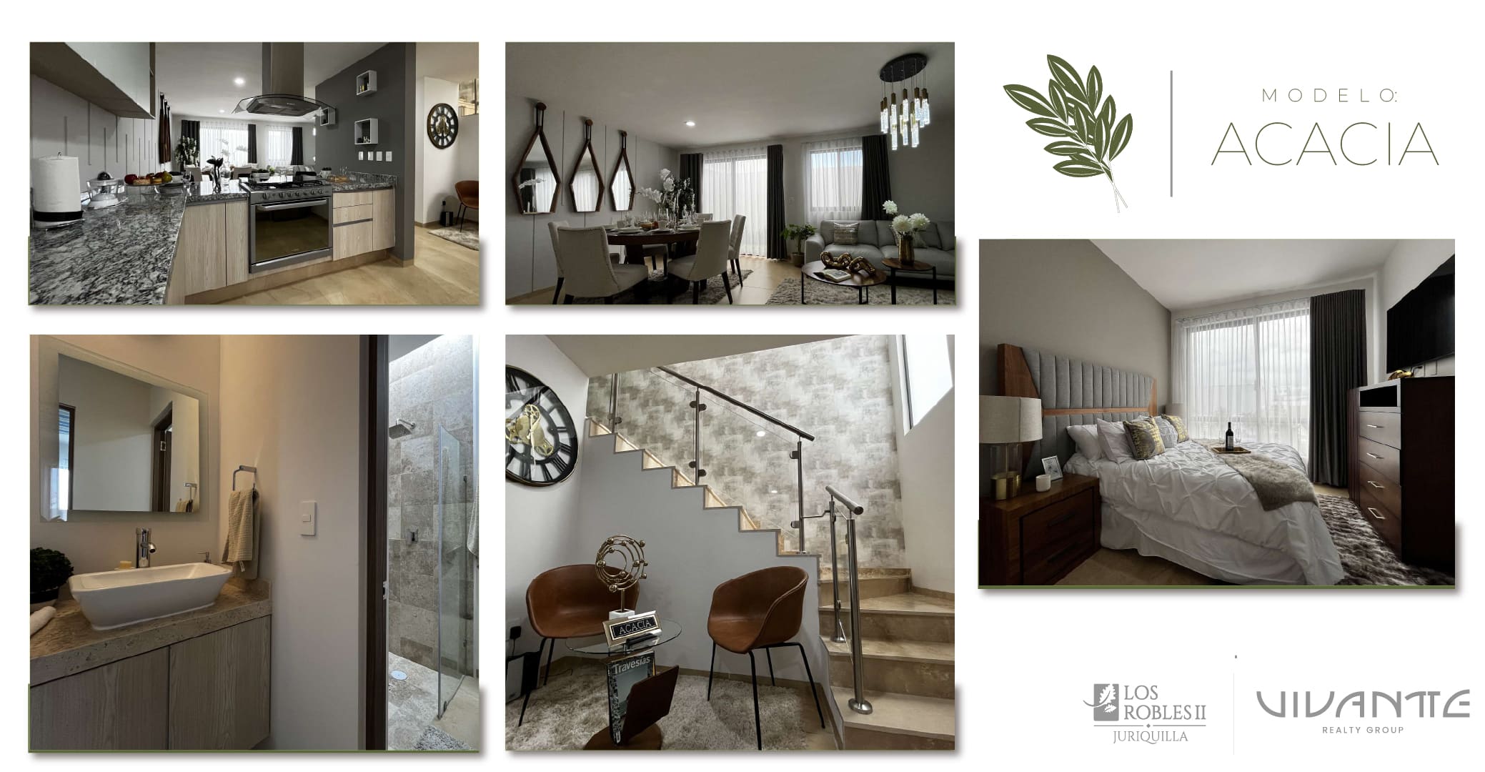 Modelo-Acacia-3.jpg