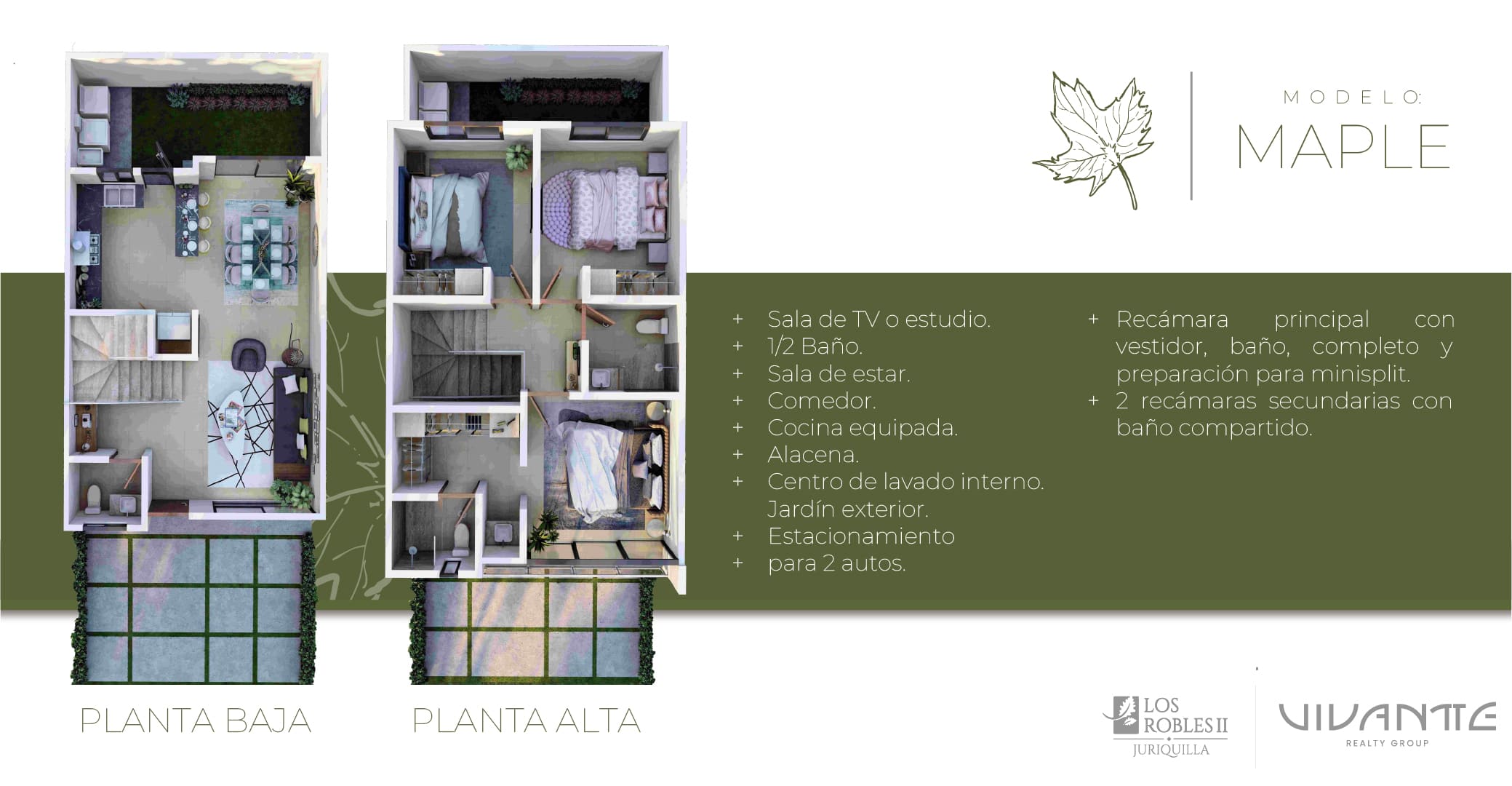 Modelo-Maple-2.jpg