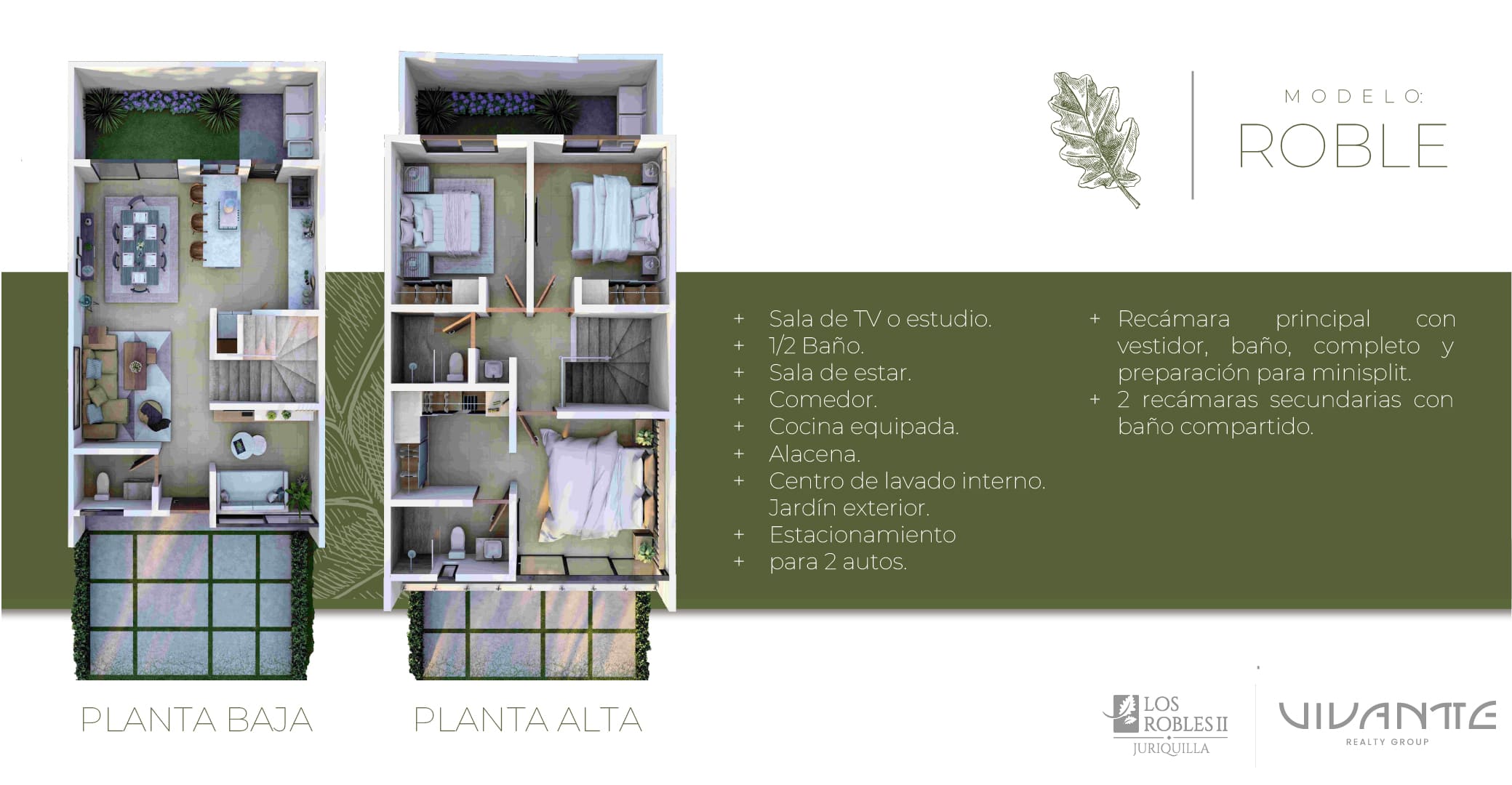 Modelo-Roble-2.jpg