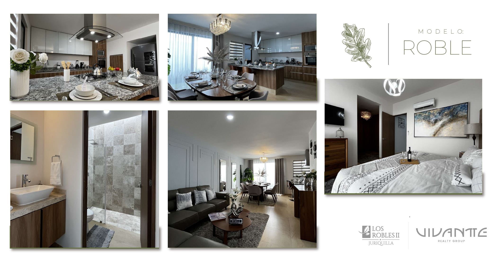 Modelo-Roble-3.jpg